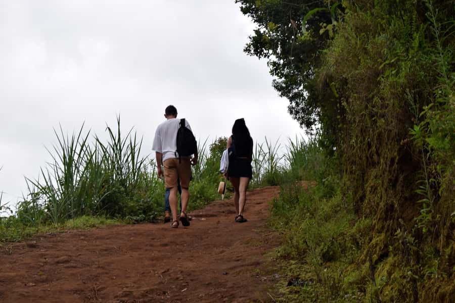 Materuni Waterfalls, Chemka Hot Springs, &/Or Coffee Tour - Key details to know before booking