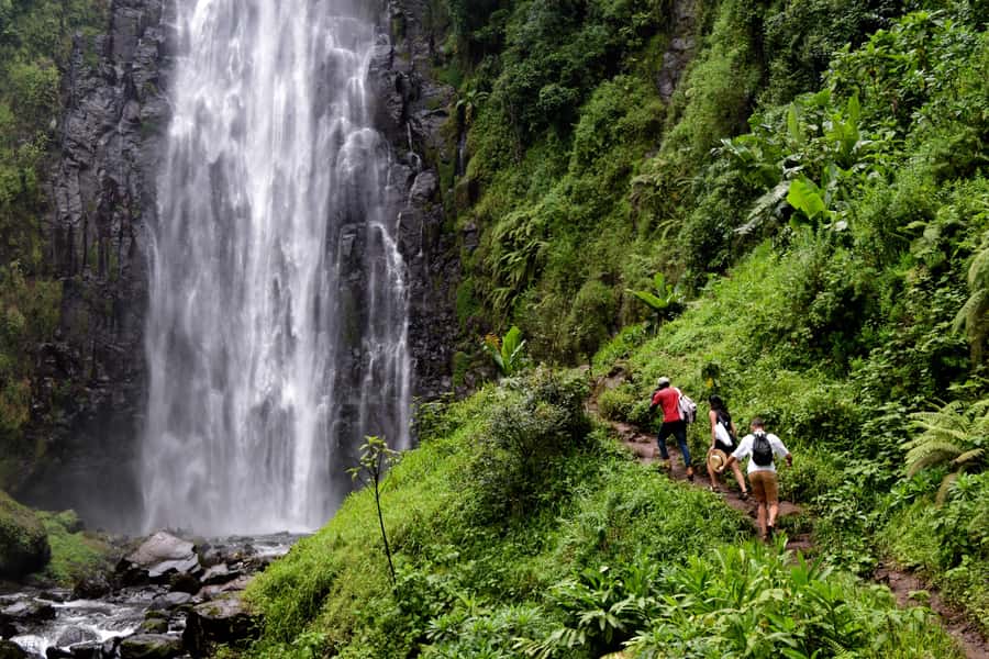 Materuni Waterfalls, Chemka Hot Springs, &/Or Coffee Tour - Why this makes a good Kilimanjaro day trip