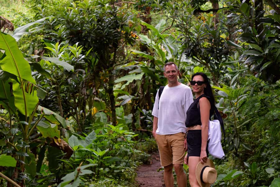 Materuni Waterfalls, Chemka Hot Springs, &/Or Coffee Tour - Materuni Falls and its swimming pool