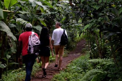 Materuni Waterfalls, Chemka Hot Springs, &/Or Coffee Tour