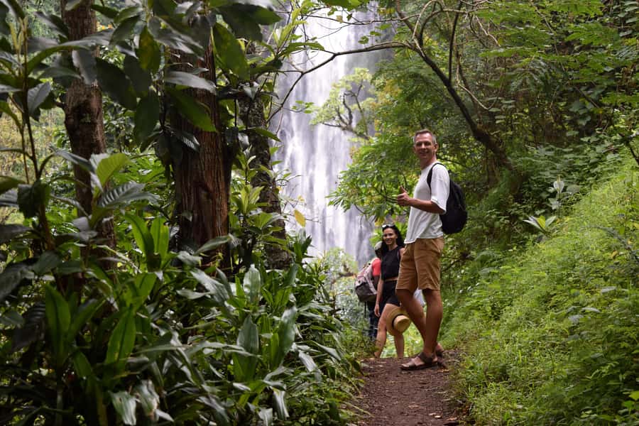 Materuni Waterfalls, Chemka Hot Springs, &/Or Coffee Tour - A local lunch with real value