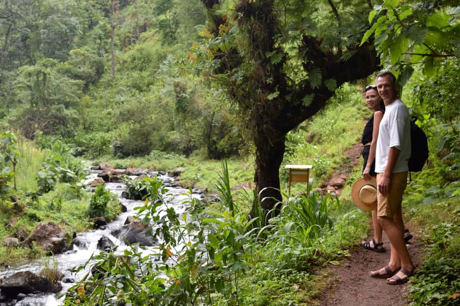 Materuni Waterfalls, Chemka Hot Springs, &/Or Coffee Tour - The nearby Chemka Waterfall