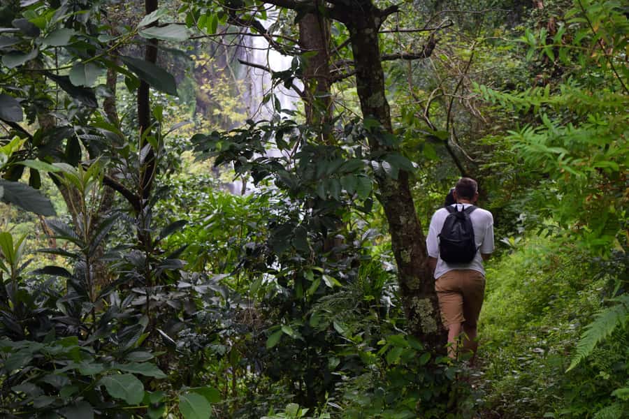 Materuni Waterfalls, Chemka Hot Springs, &/Or Coffee Tour - Guides, transport, and the pace of the day