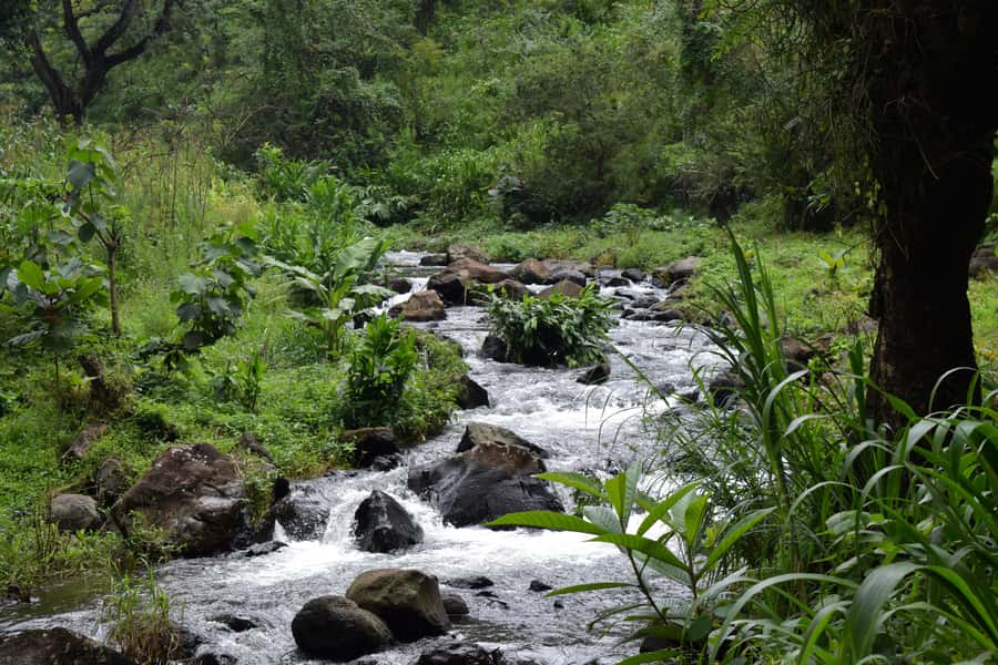 Materuni Waterfalls, Chemka Hot Springs, &/Or Coffee Tour - What to pack and what to wear