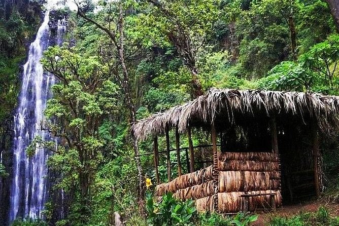 Materuni Waterfalls, Coffee and Village Full Day Tour - Why Materuni makes a good day trip from Moshi