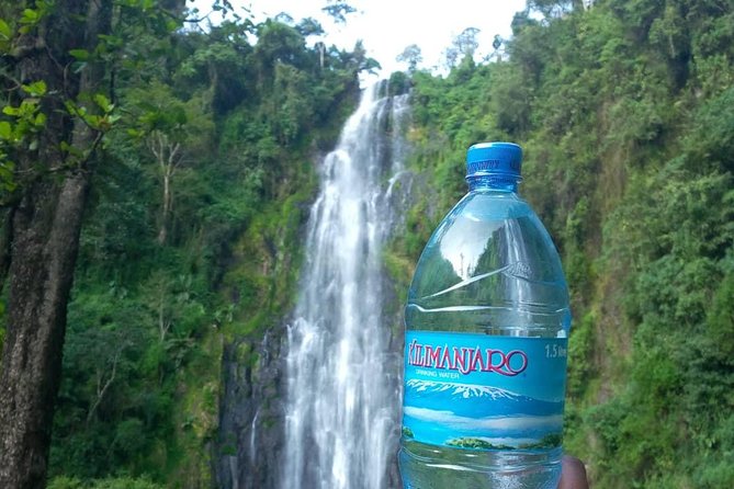 Materuni Waterfalls & Coffee Farm Tour - Key points to know before booking