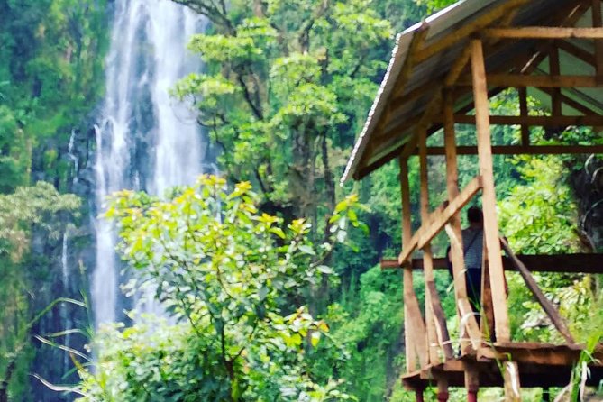 Materuni Waterfalls & Coffee Farm Tour - The 35-minute walk to Materuni Falls