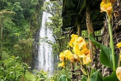 Materuni Waterfalls & Coffee Farm Tour