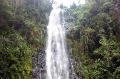 Materuni Waterfalls & Coffee making Cultural Tour | BURIGI CHATO SAFARIS LTD