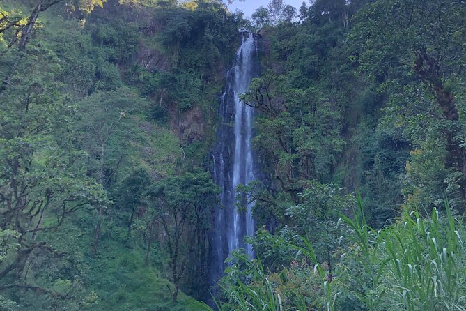 Materuni Waterfalls & Coffee Tour - Why Materuni works as a half-day outing