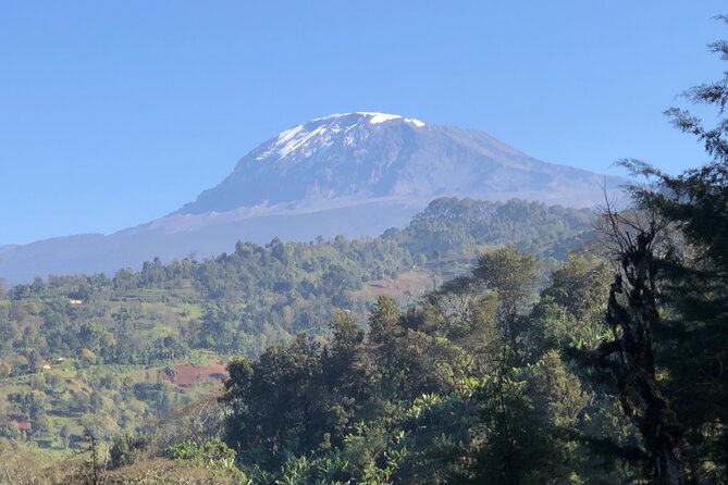 Materuni Waterfalls & Coffee Tour - What the private format changes
