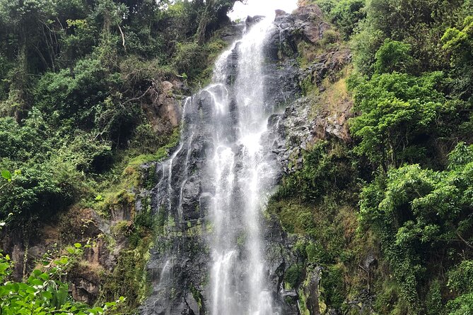 Materuni waterfalls coffee tour & Chemka hot springs Day trip - The rough road to Chemka Hot Springs
