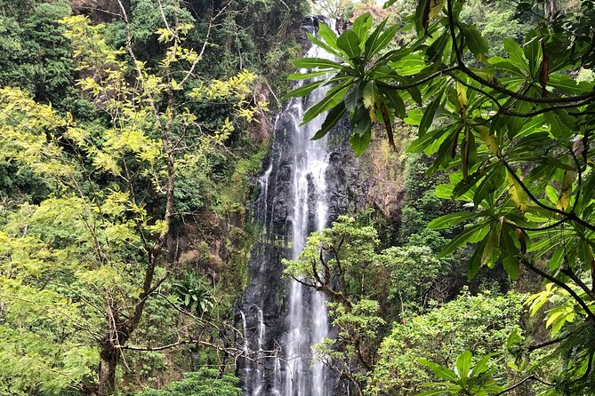 Materuni waterfalls coffee tour & Chemka hot springs Day trip - How long the day really takes