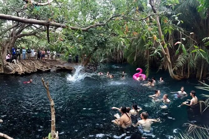 Materuni waterfalls coffee tour & Chemka hot springs Day trip - Booking, weather, and cancellation details
