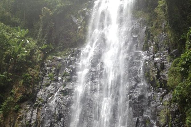 Materuni Waterfalls & Coffee Tour from Moshi - Key points to know before booking