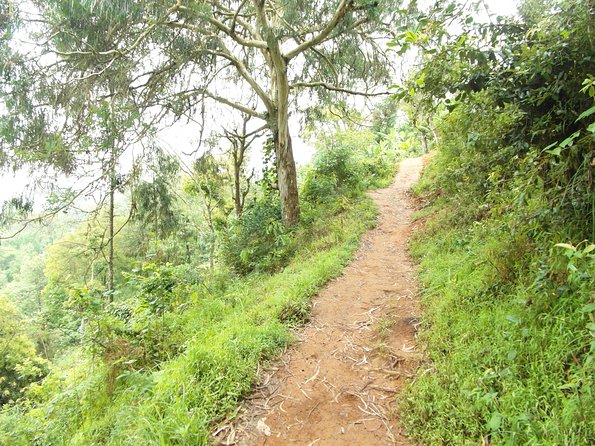 Materuni Waterfalls & Coffee Tour from Moshi - Reaching the 90-meter cascade