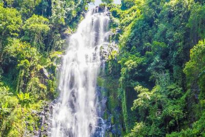 Materuni Waterfalls & Coffee Tour from Moshi