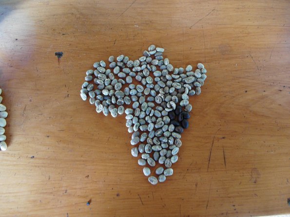 Materuni Waterfalls & Coffee Tour from Moshi - Why the private format matters