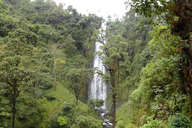 Materuni Waterfalls & Coffee Tour from Moshi - The main drawbacks to consider
