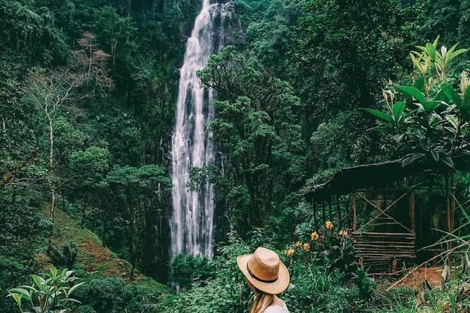 Materuni Waterfalls, coffee tour & Kikuletwa Hot Springs - One day, three sides of northern Tanzania