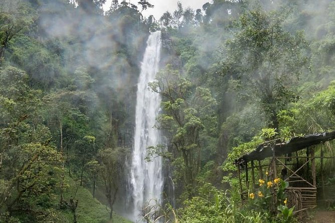 Materuni Waterfalls, coffee tour & Kikuletwa Hot Springs - Guides make the private format worthwhile