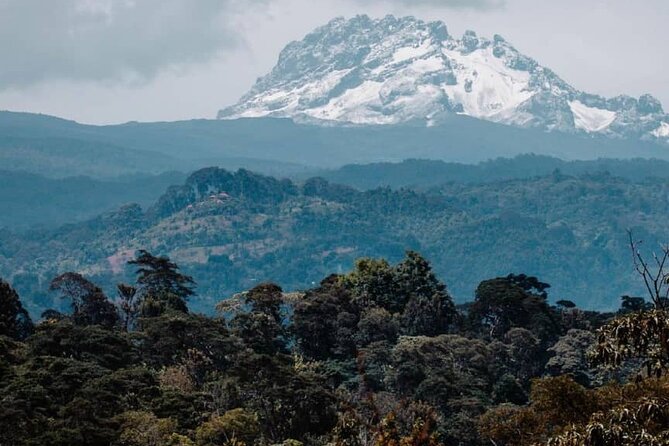 Materuni Waterfalls, coffee tour & Kikuletwa Hot Springs - Coffee, Chagga traditions, and lunch in Materuni