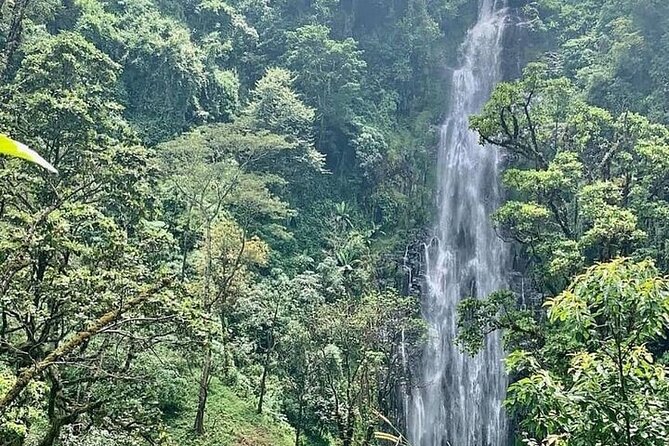 Materuni Waterfalls, Kikuletwa Chemka Hot springs, Coffee tour - Key points at a glance