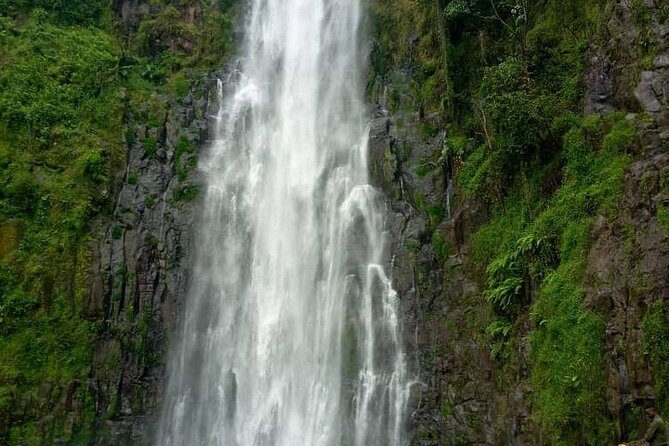 Materuni Waterfalls, Kikuletwa Chemka Hot springs, Coffee tour - Materuni’s waterfall path and Chagga farms