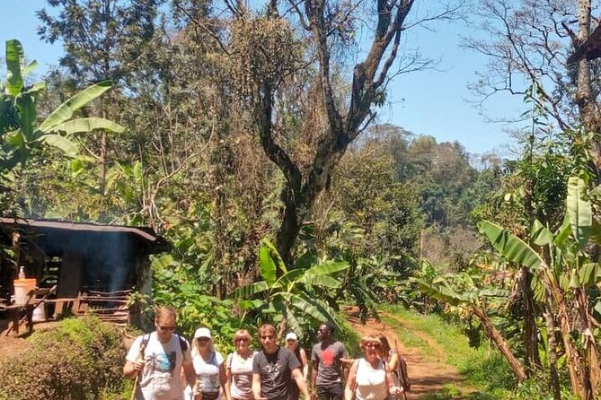 Materuni Waterfalls, Kikuletwa Chemka Hot springs, Coffee tour - What a private 10-hour schedule feels like
