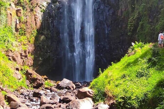 Materuni Waterfalls, Kikuletwa Chemka Hot springs, Coffee tour - Who should book this experience