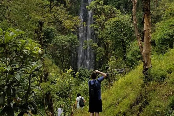 Materuni Waterfalls, Visiting Chagga Village, CoffeeTour Kikuletwa Hotsprings - Who will enjoy this full-day outing