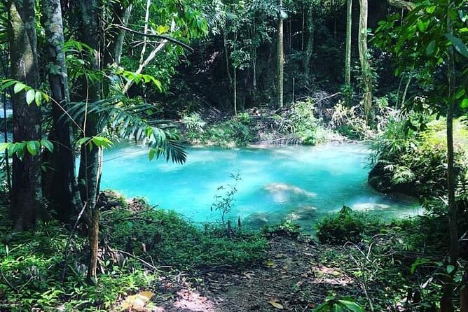 Mayfield Falls, Blue Hole & Rick's Café Tours/Weed Farm option - Rick’s Café in Negril