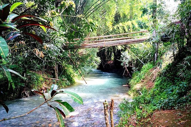 Mayfield Falls, Blue Hole & Rick's Café Tours/Weed Farm option - Blue Hole Mineral Spring and the 22-foot jump