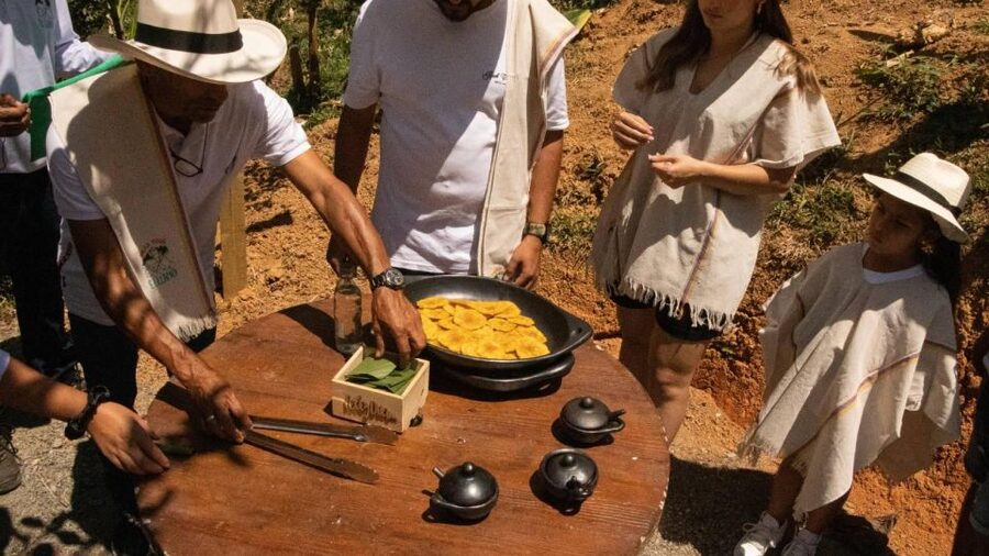 Medellin: Coffee and fruit tour - Should you book Agrotur el Llano?