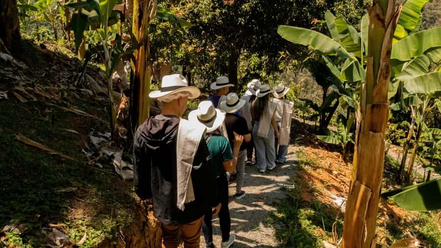 Medellin: Coffee and fruit tour - From Medellín streets to Ebejico’s mountain farm
