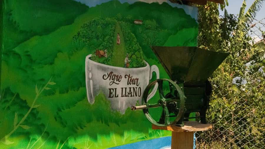 Medellin: Coffee and fruit tour - A three-hour schedule with little wasted time
