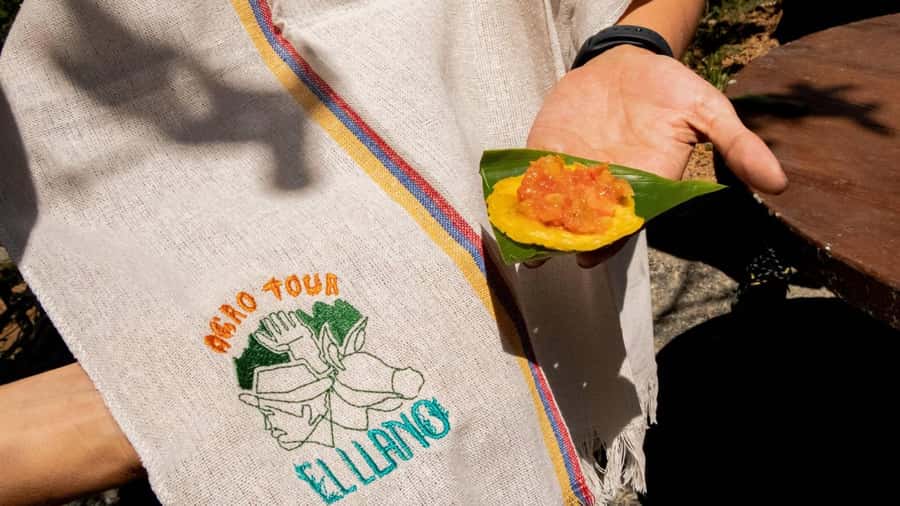 Medellin: Coffee and fruit tour - Is $67 a fair price?