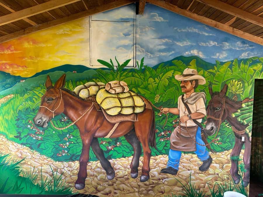 Medellin: Coffee and fruit tour - Who will enjoy this farm experience?