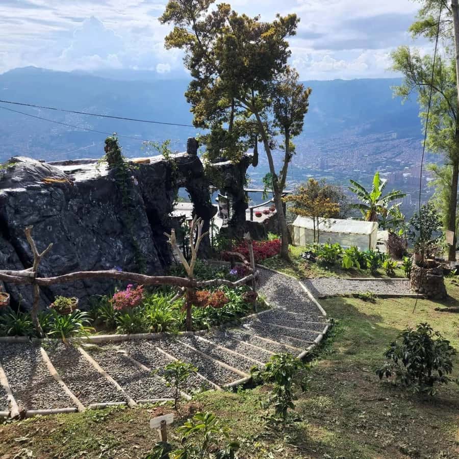 Medellin: Coffee Farm and Barista Workshop Experience - From Arví Metro Station to Don Leandro Farm