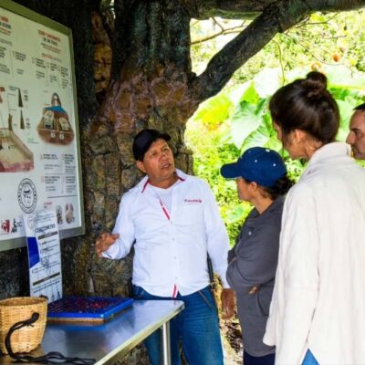 Coffee Farm and Barista Workshop Experience