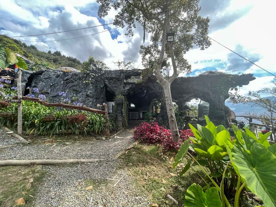 Medellin: Coffee Farm and Barista Workshop Experience - Who will get the most from this experience