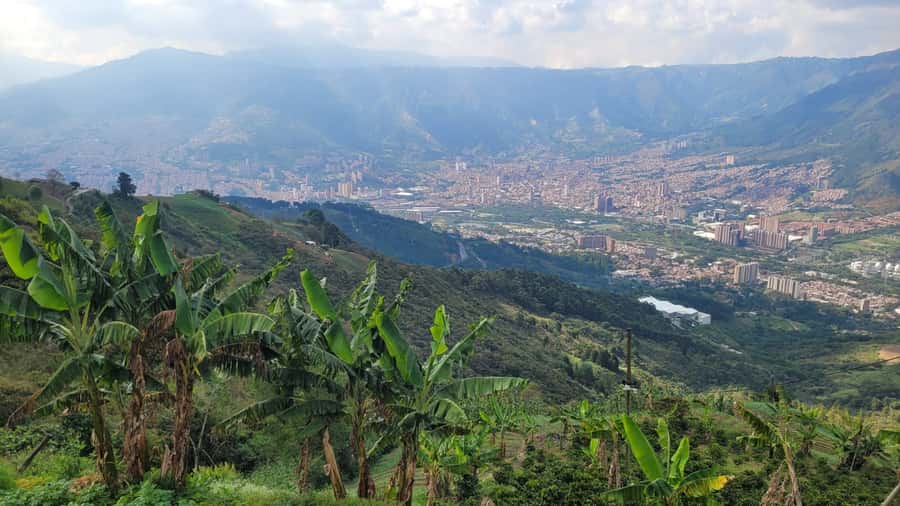Medellin: Coffee Farm Tour & Spa with Overnight Glamping - The first evening: BBQ, fire, and a city view