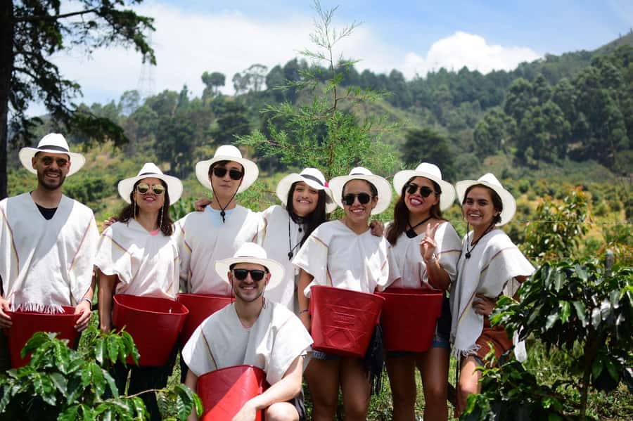 Medellín Coffee Farm Tour with Trolley and Cable Car Ride - From San Antonio station to the hills of Comuna 8
