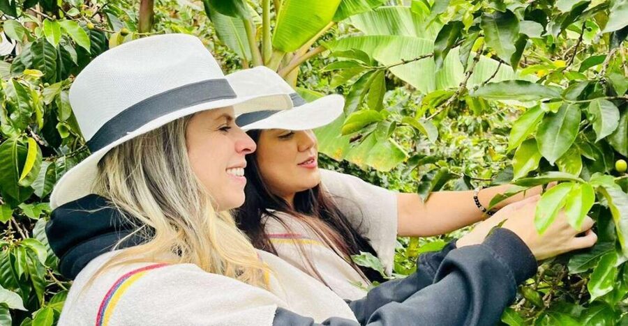 Medellín Coffee Farm Tour with Trolley and Cable Car Ride - Picking coffee cherries by hand