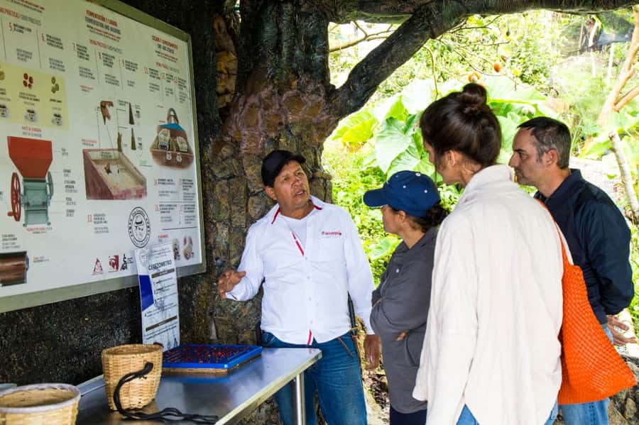 Medellin: Coffee Tour and Wellness Spa - Should you book Don Leandro Coffee Farm?