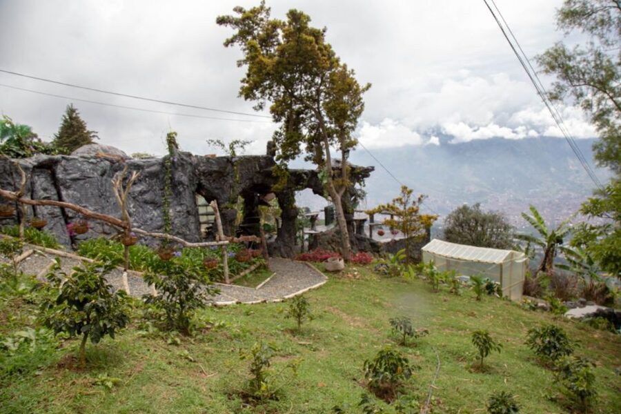 Medellin: Coffee Tour and Wellness Spa - What the $88 price really includes