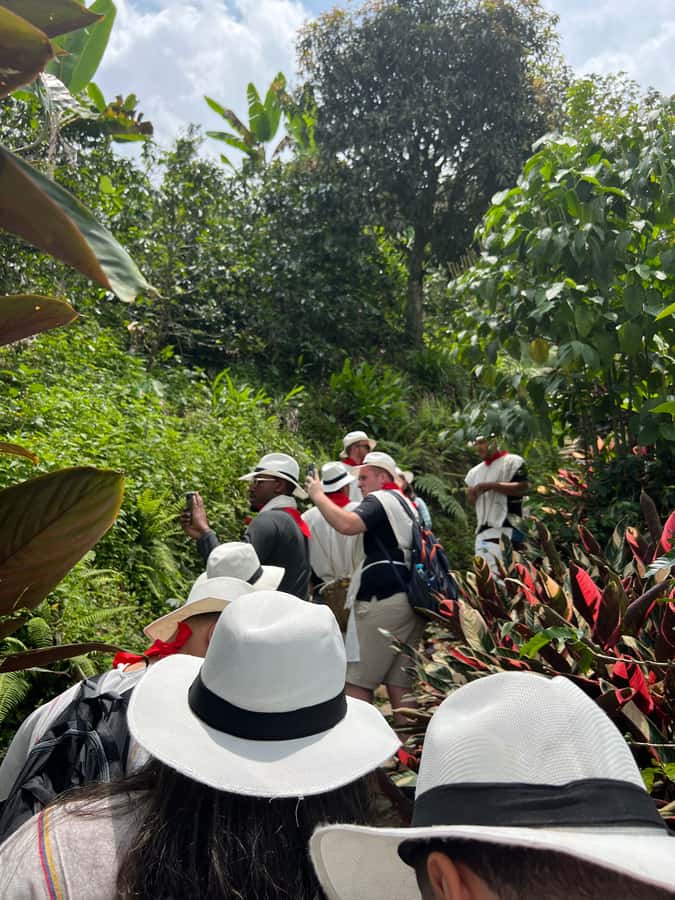 Medellín: Coffee Tour Experience at a Coffee Farm - Key points at a glance