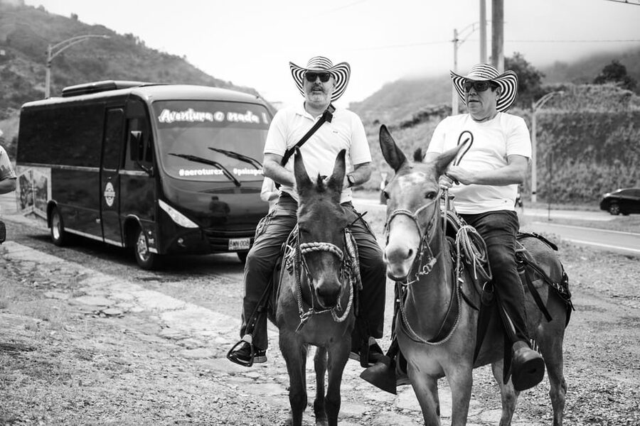 Medellin: Coffee Tour, Horseback Arrival, and Sugar Cane - Practical tips for a smoother day