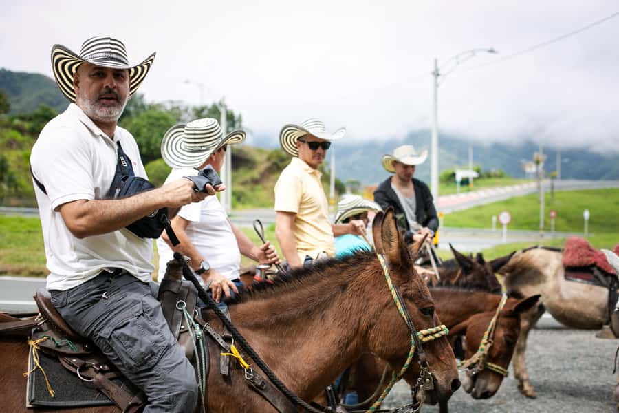 Medellin: Coffee Tour, Horseback Arrival, and Sugar Cane - From El Poblado to the mountains of Antioquia