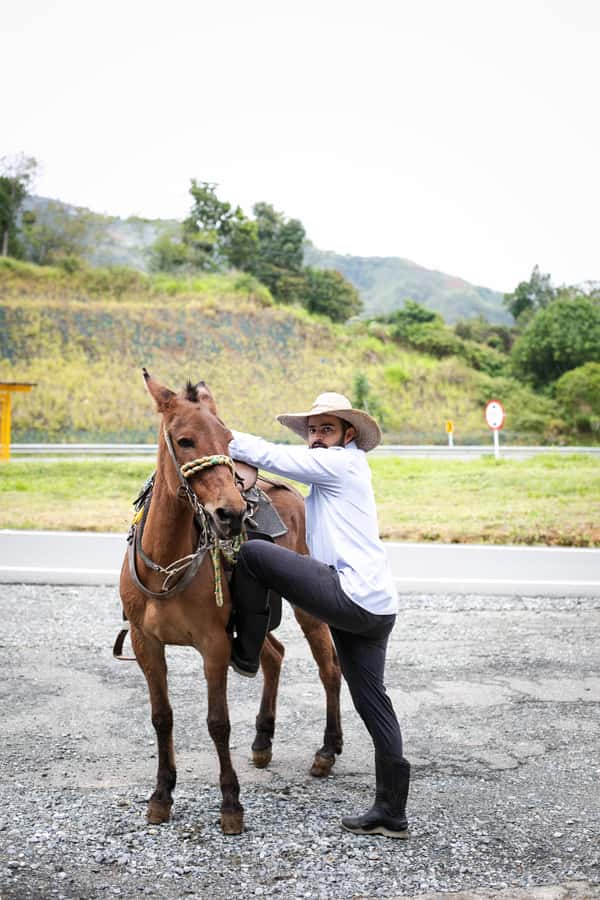 Medellin: Coffee Tour, Horseback Arrival, and Sugar Cane - Sugar cane, panela, and a quick taste of farm life